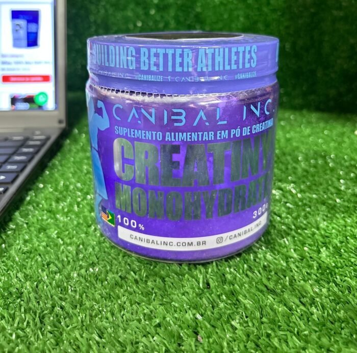 CREATINA 300G