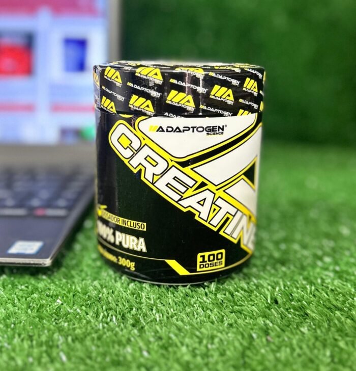 CREATINA 300G