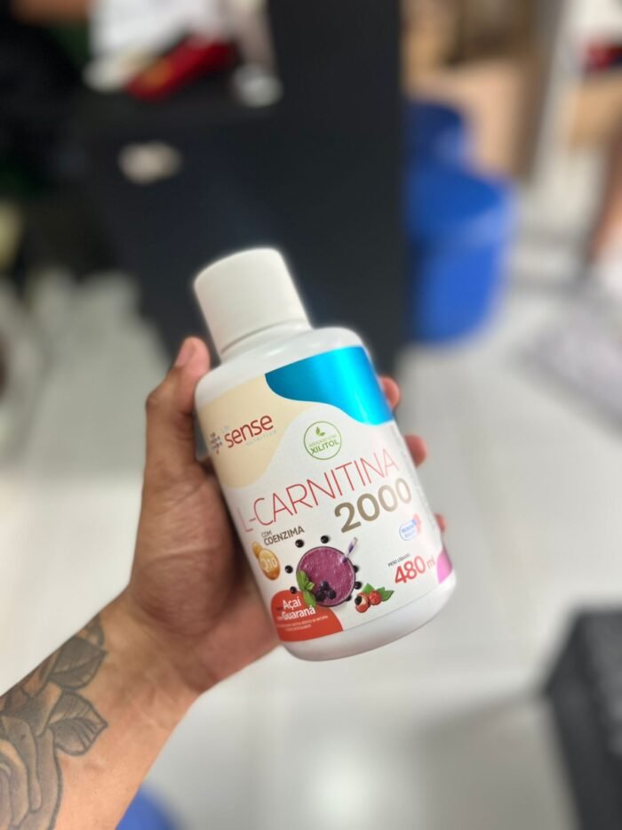 L carnitina 480ml